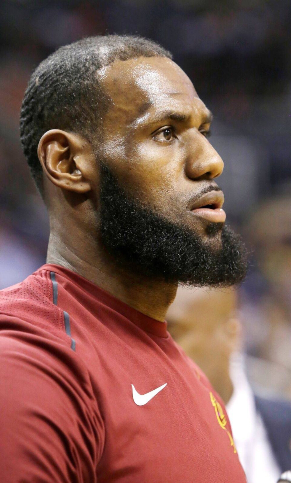 球迷熟脸 球迷熟脸