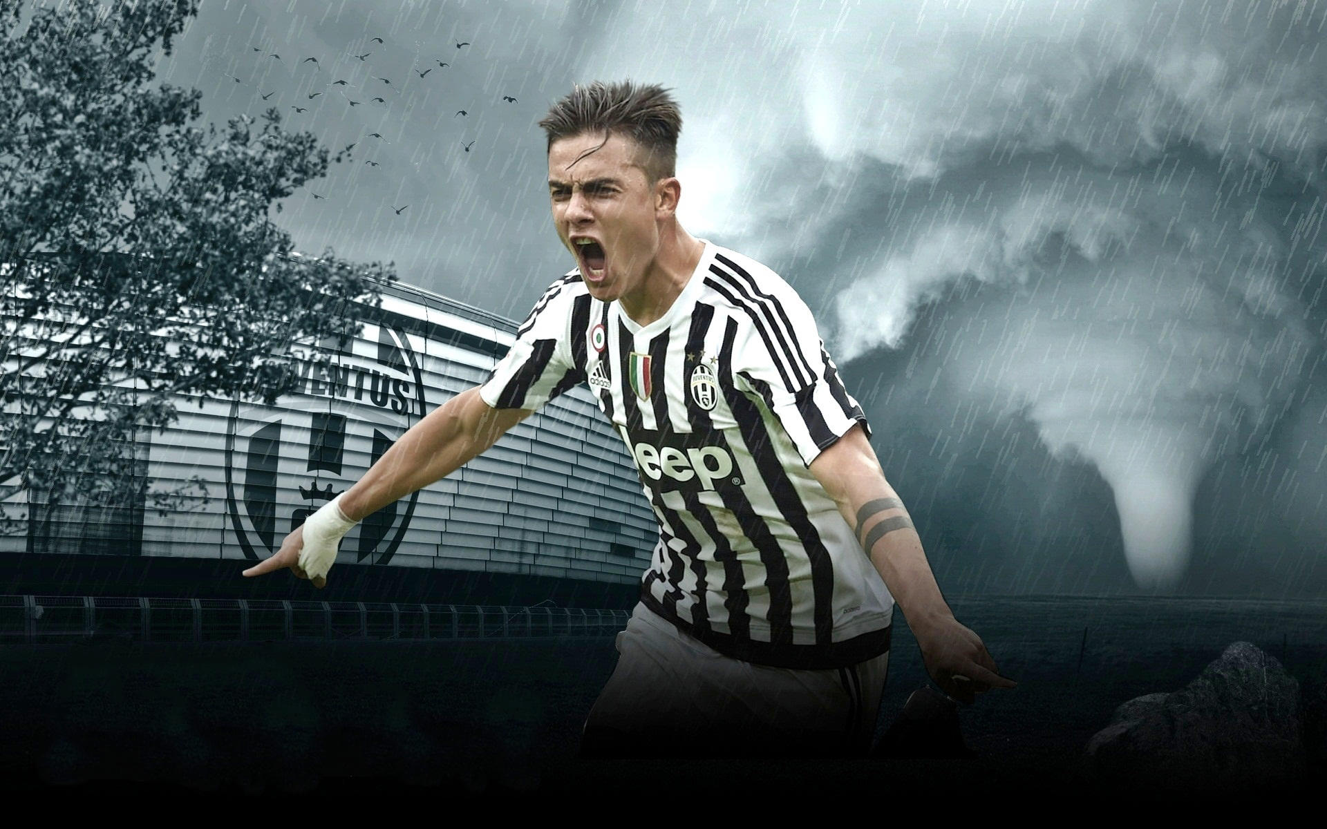 几手连赢 几手连赢